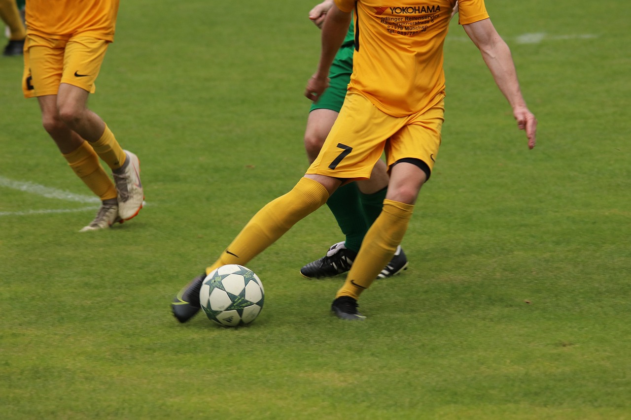 真正意义 真正意义